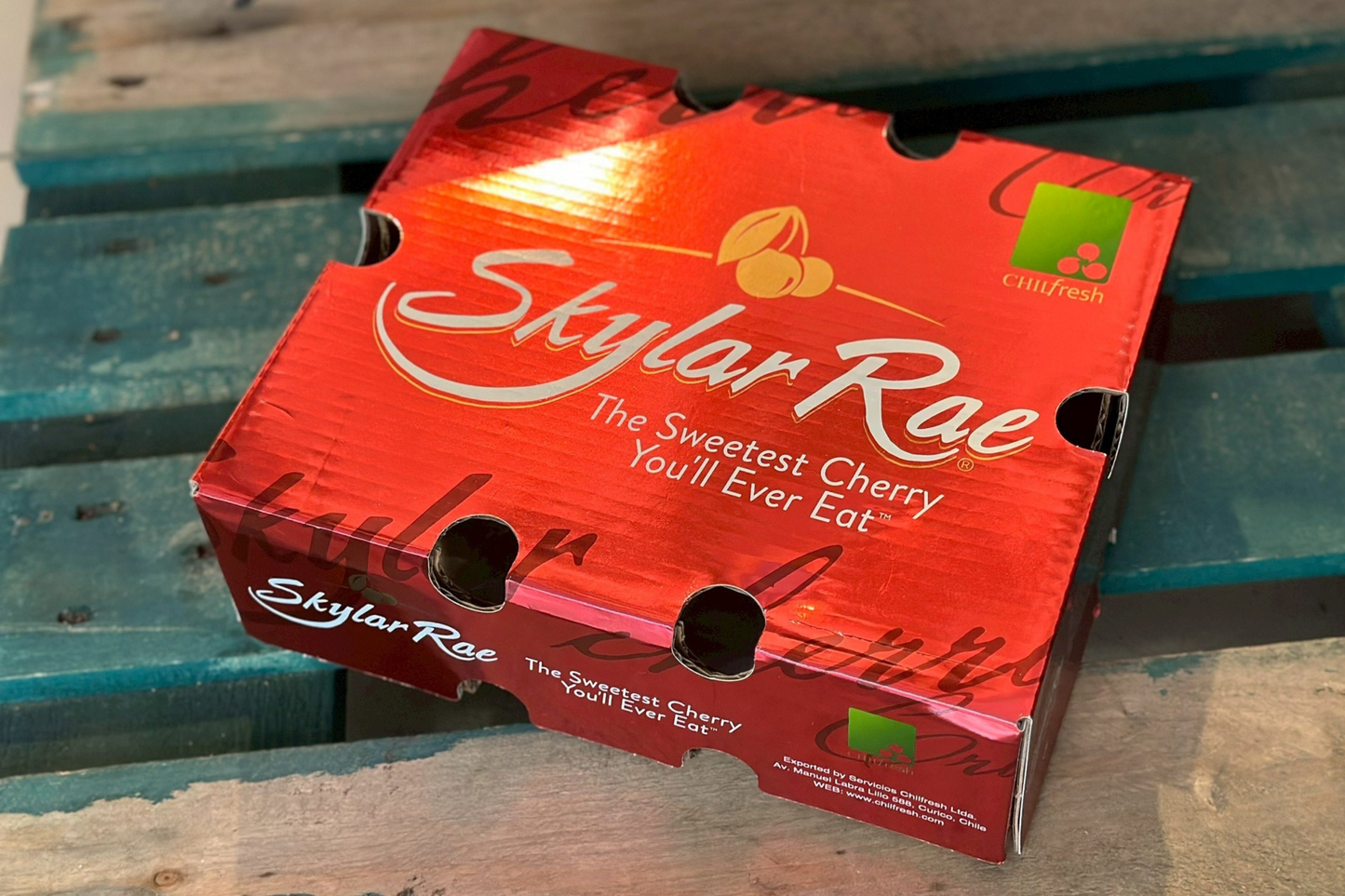 【櫻桃公主】智利草莓白櫻桃