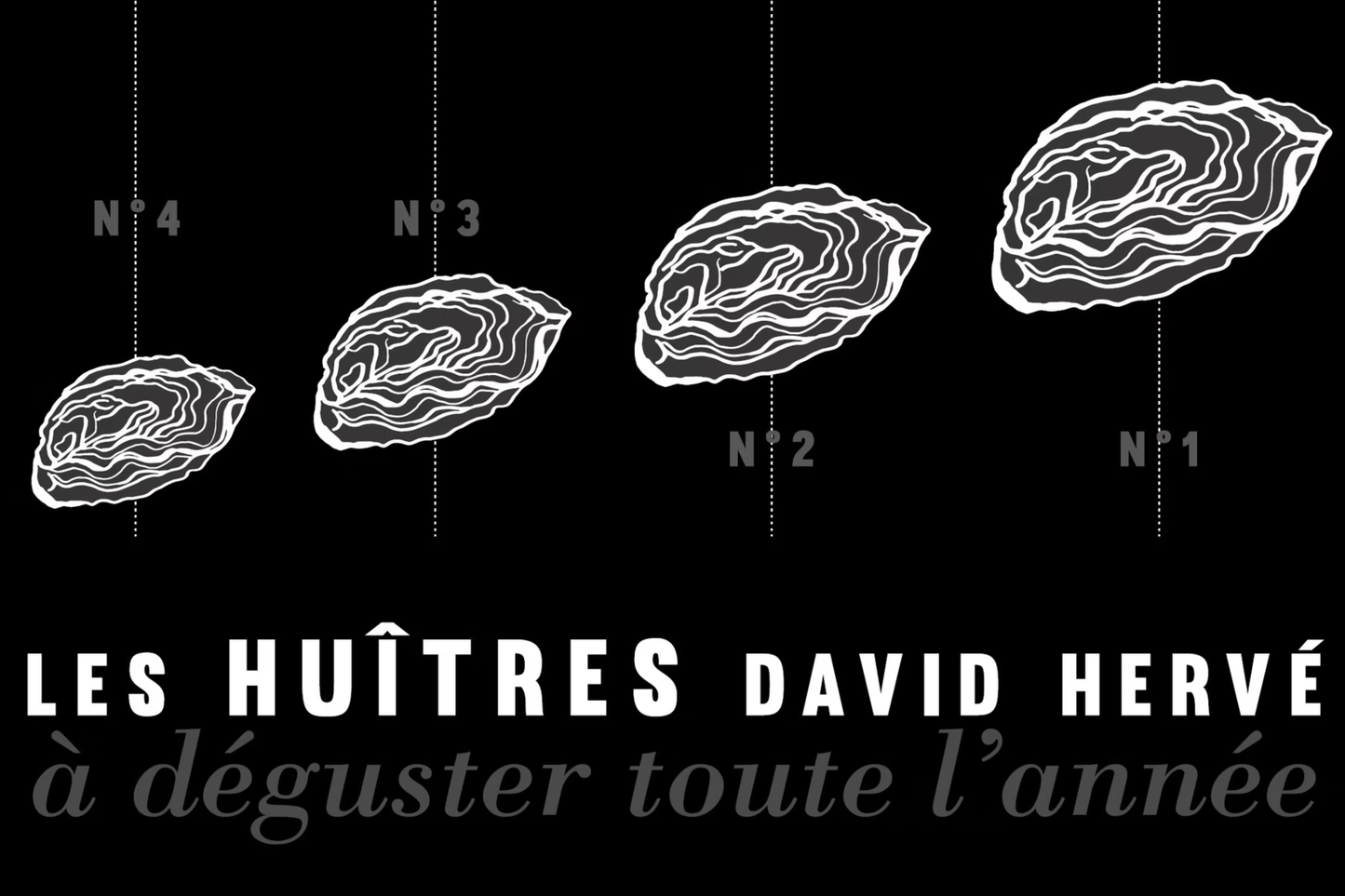 【David Herve、Geay】米其林級法國生蠔