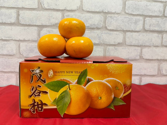 【年節水果】台灣茂谷柑禮盒/3公斤