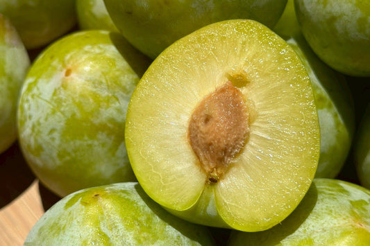 已結團【美食加嚴選】加州杏李恐龍蛋(9/9開始出貨)