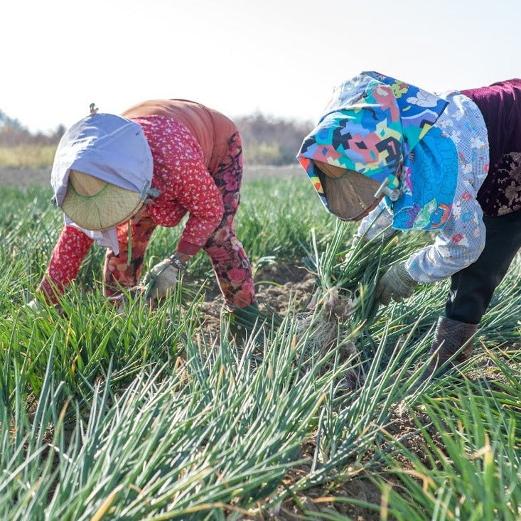 黃金鵝油香蔥酥 100g