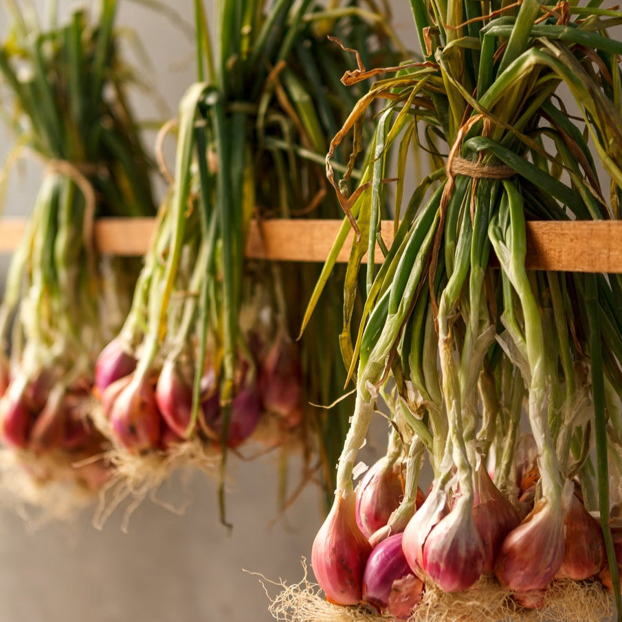 黃金鵝油香蔥酥 100g