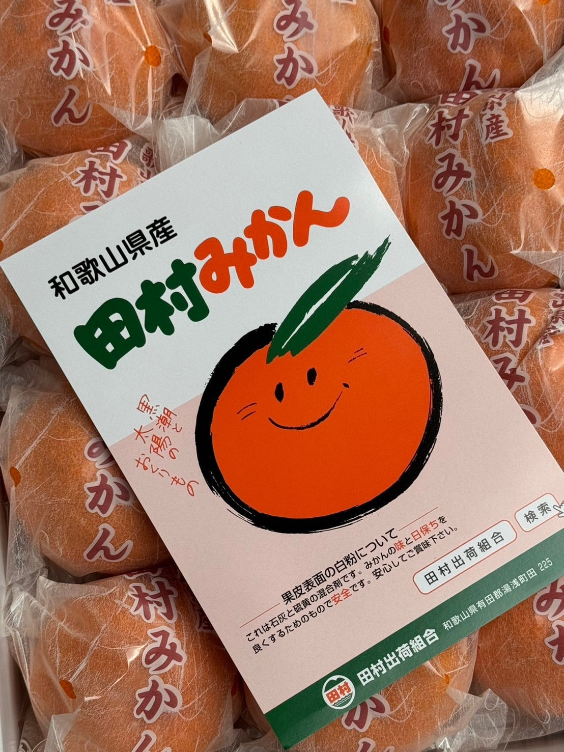 日本田村蜜柑禮盒 |限定包裝|