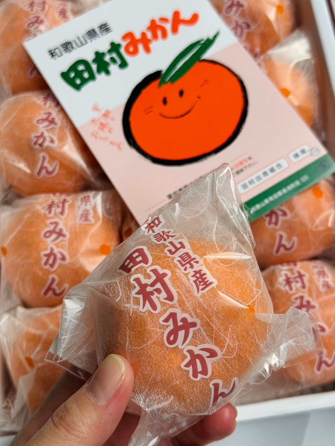日本田村蜜柑禮盒 |限定包裝|