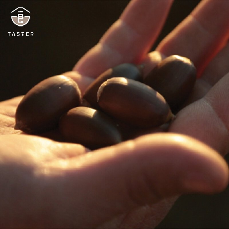 CINCO JOTAS 5J 西班牙橡子飼養100%純種伊比利豬火腿