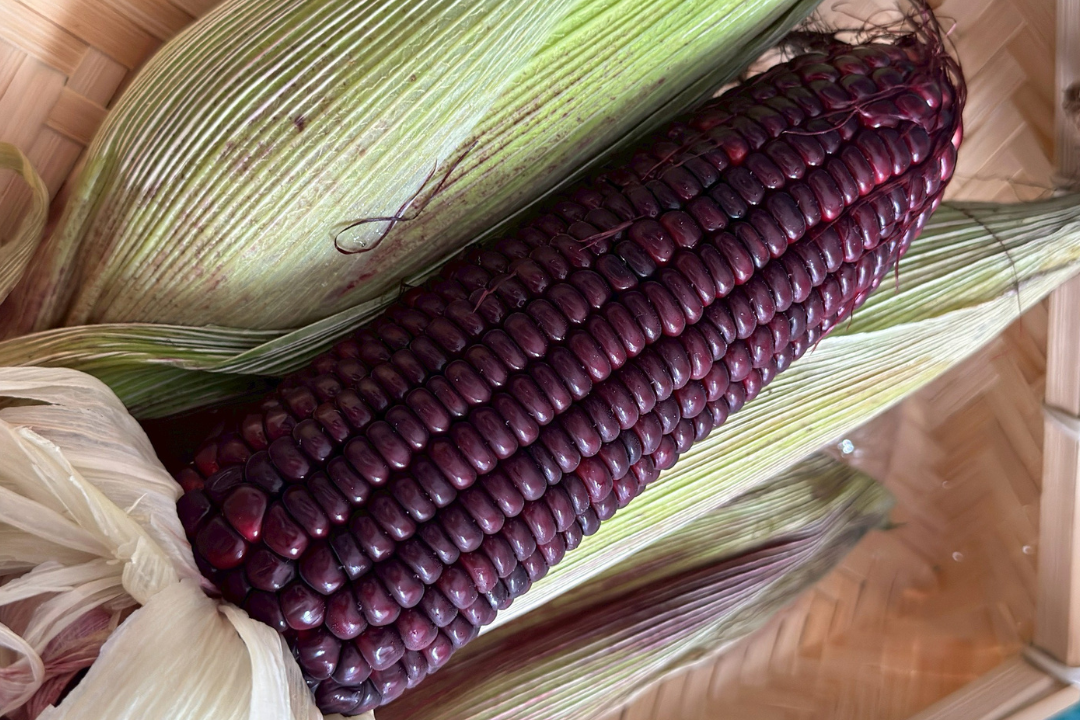 【好評三度回歸】黑白雙寶水果玉米與台灣有機西洋芹