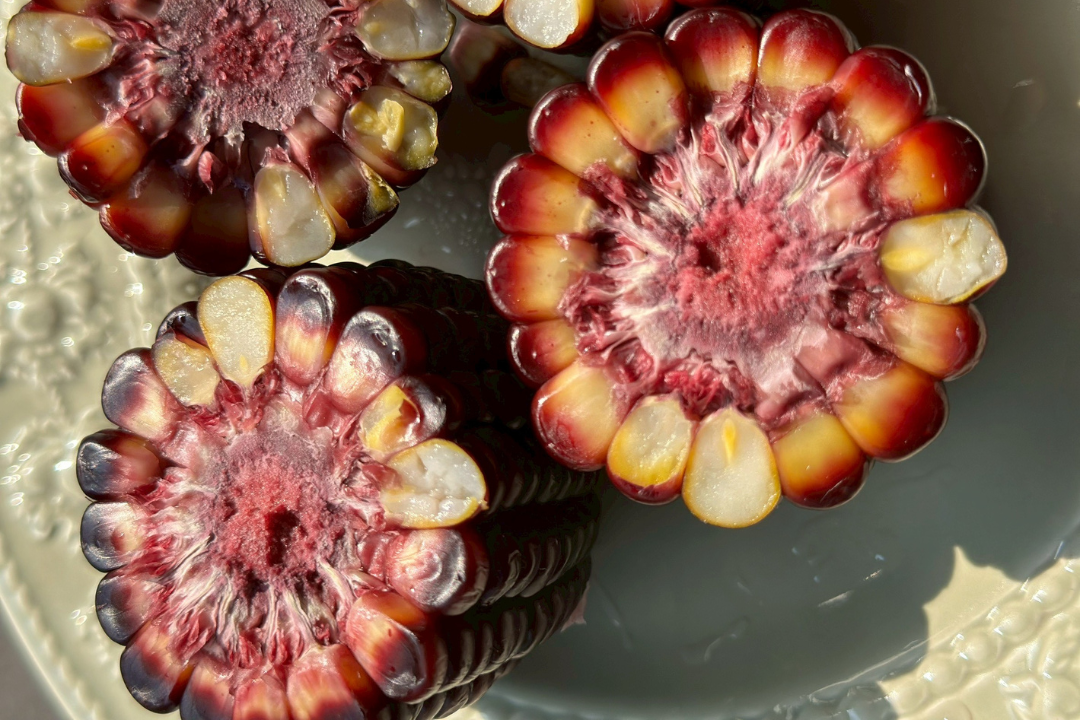 【好評三度回歸】黑白雙寶水果玉米與台灣有機西洋芹