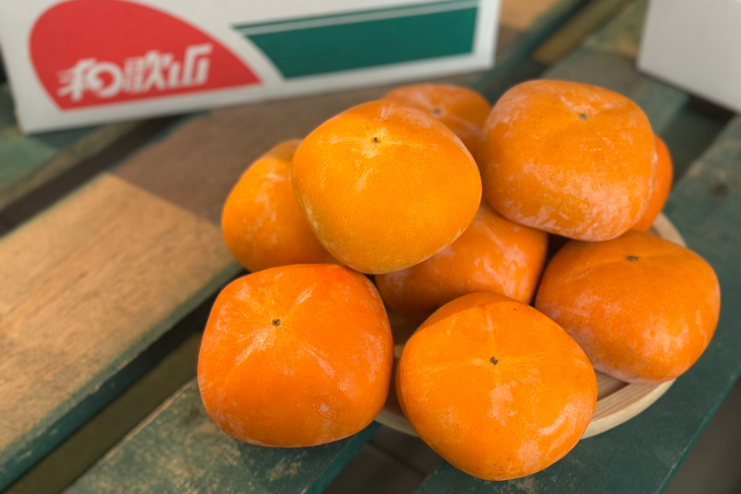 【日本和歌山】紀の川黑柿