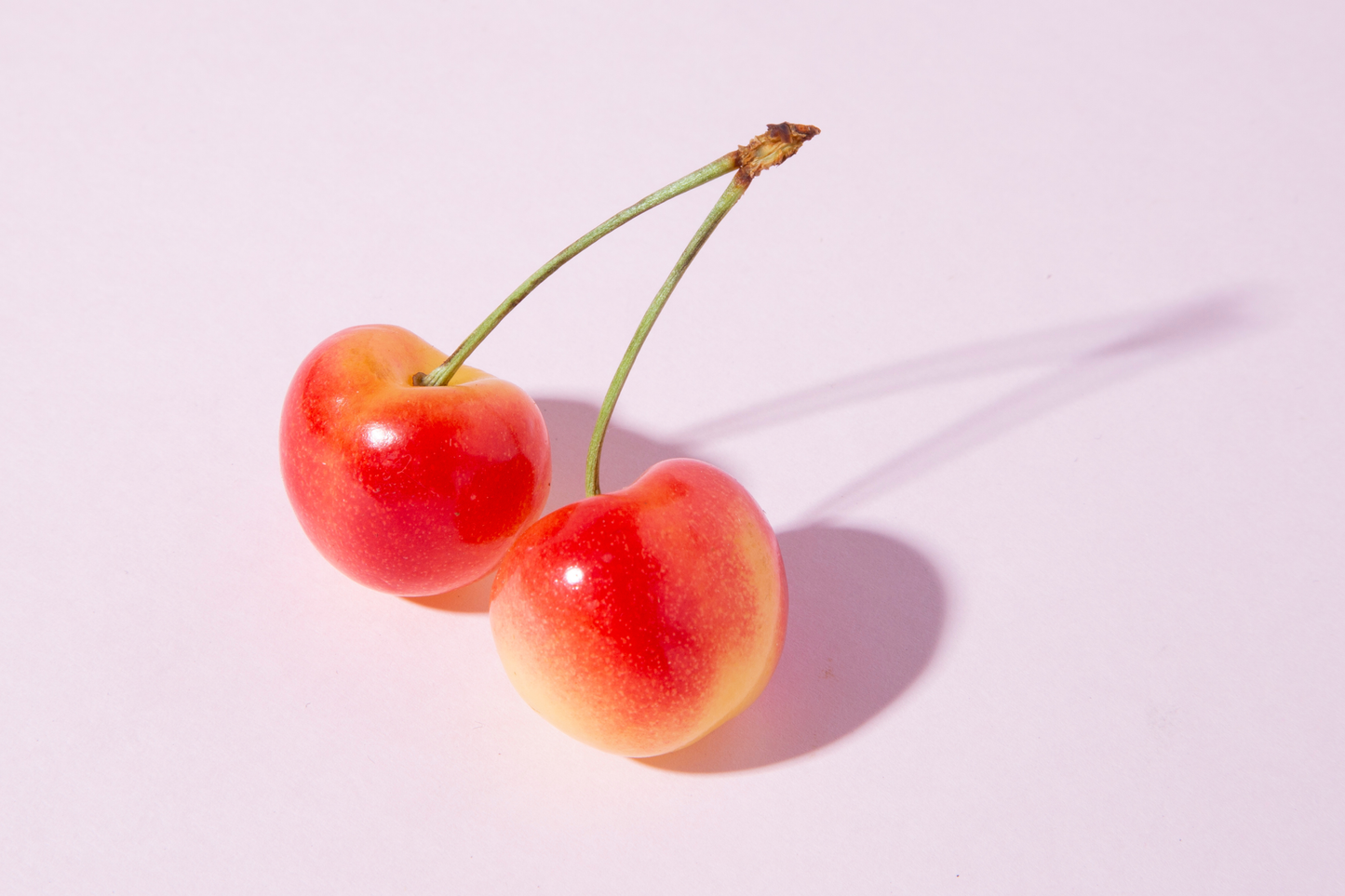 【櫻桃公主】智利草莓白櫻桃