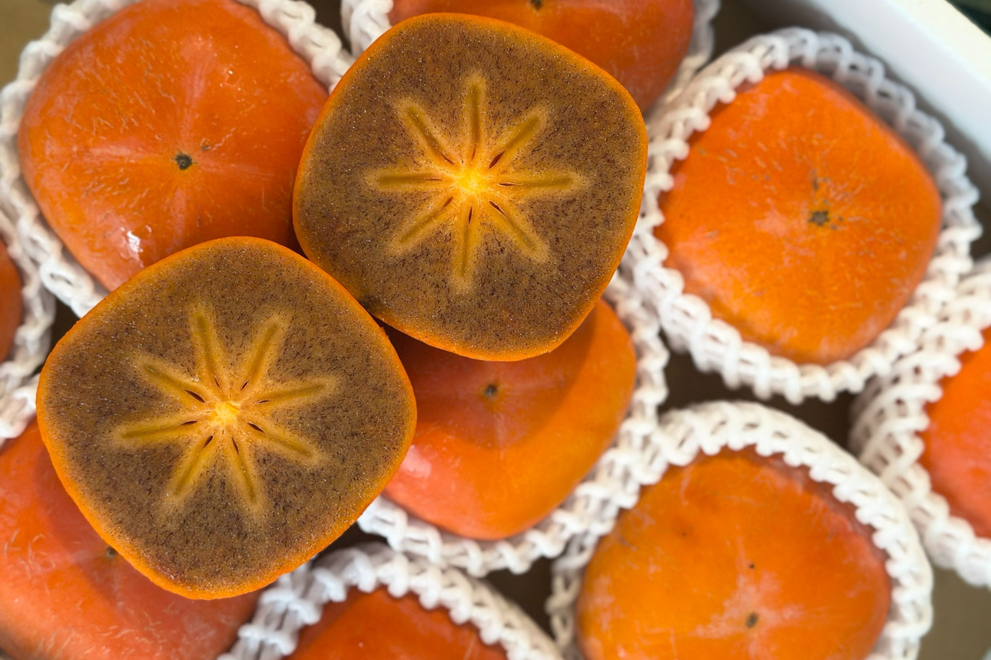 【日本和歌山】紀の川黑柿