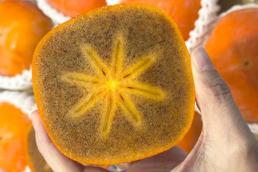 【日本和歌山】紀の川黑柿