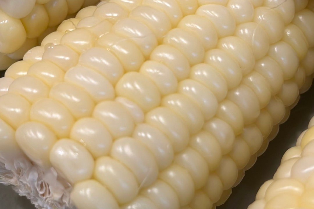 【好評三度回歸】黑白雙寶水果玉米與台灣有機西洋芹