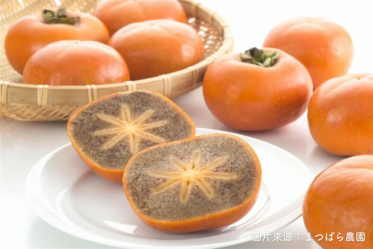 【日本和歌山】紀の川黑柿