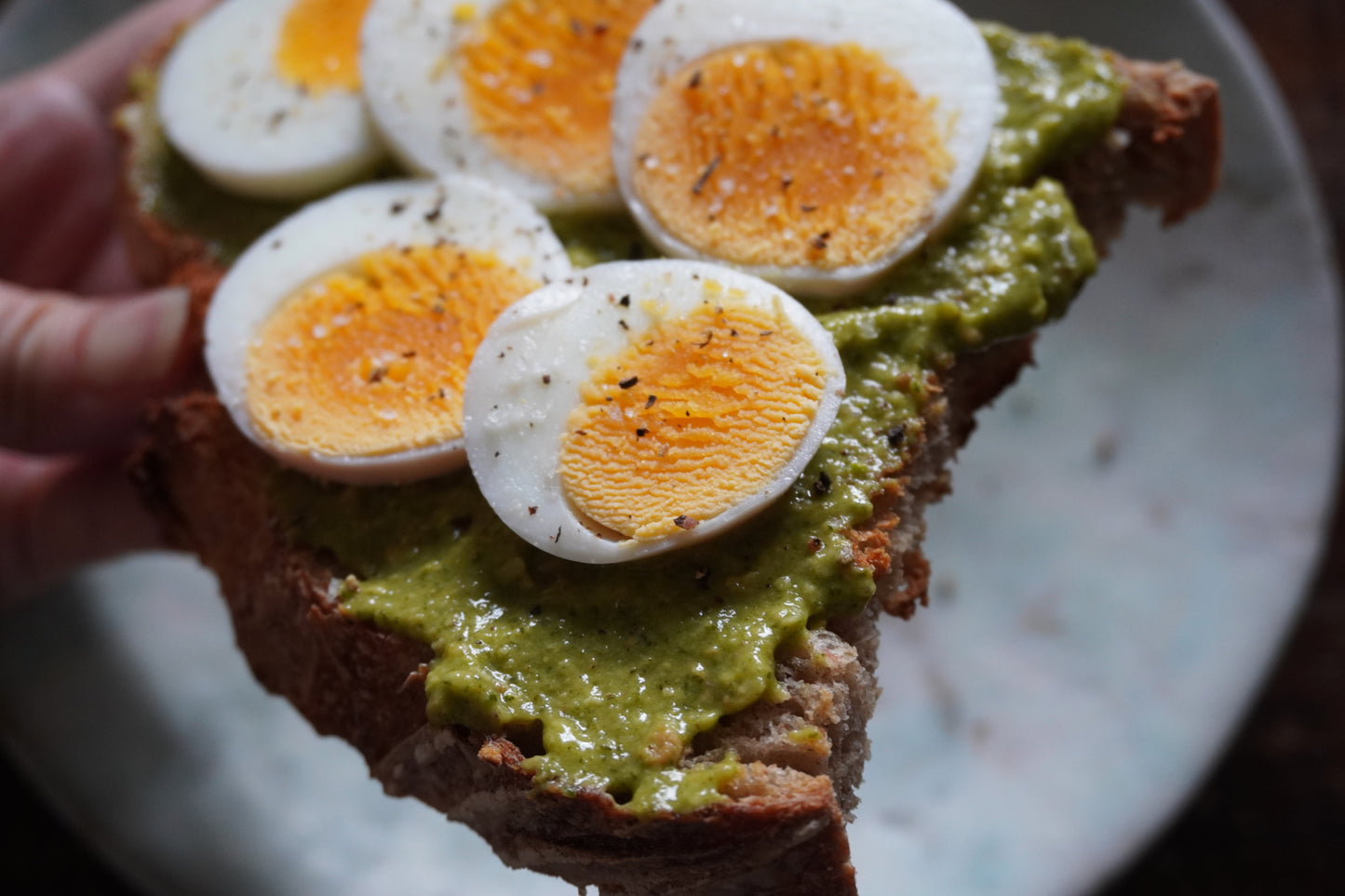 開心果酪梨叢林醬