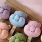 【Care Bears】7色造型冰棒禮盒組
