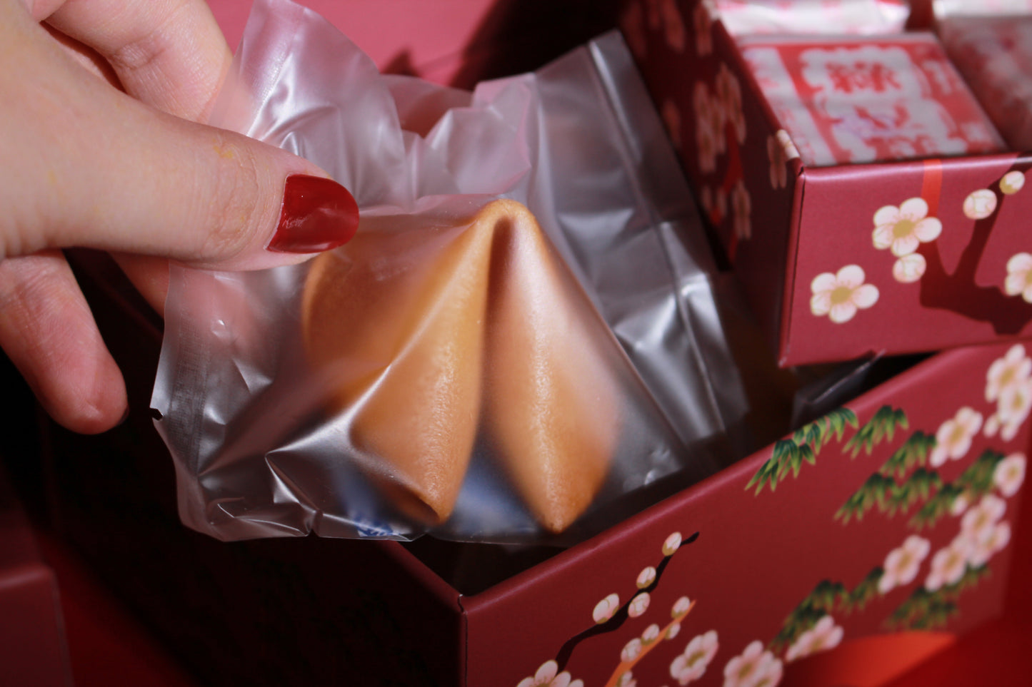 【美食加】花開富貴盒