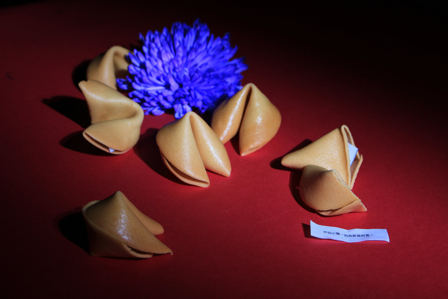 【美食加】花開富貴盒