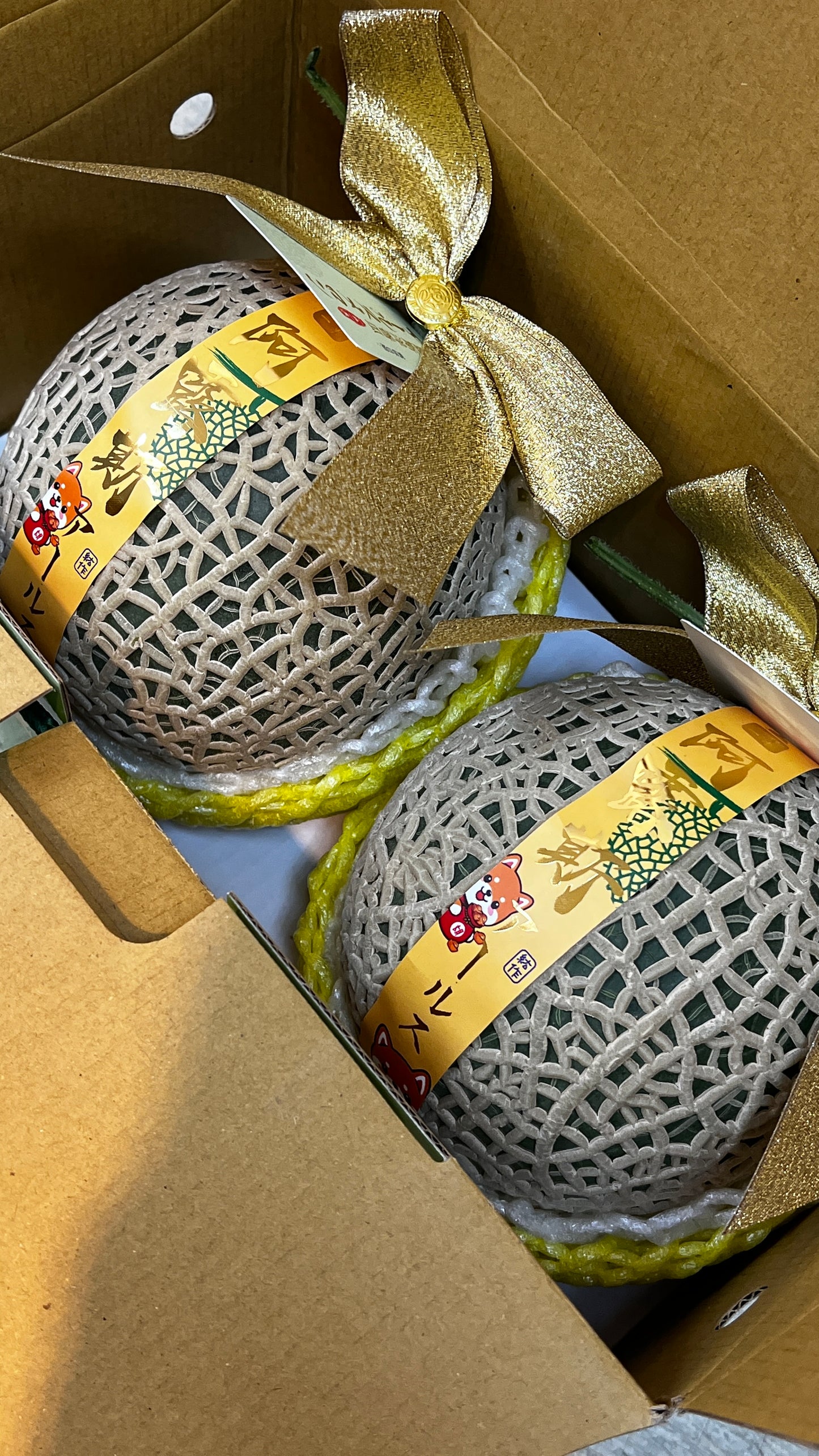 【年節水果】阿露斯哈密瓜禮盒