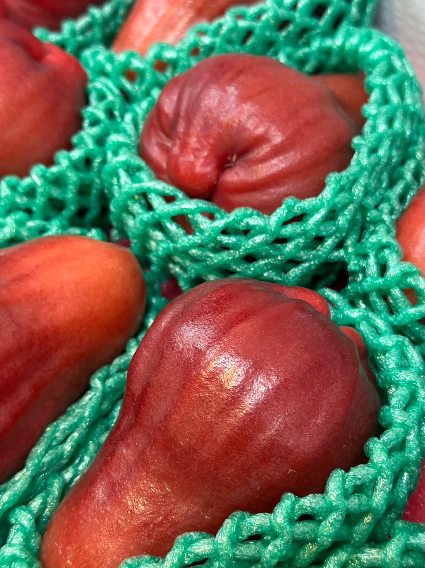 【年節水果】頂級黑糖芭比蓮霧