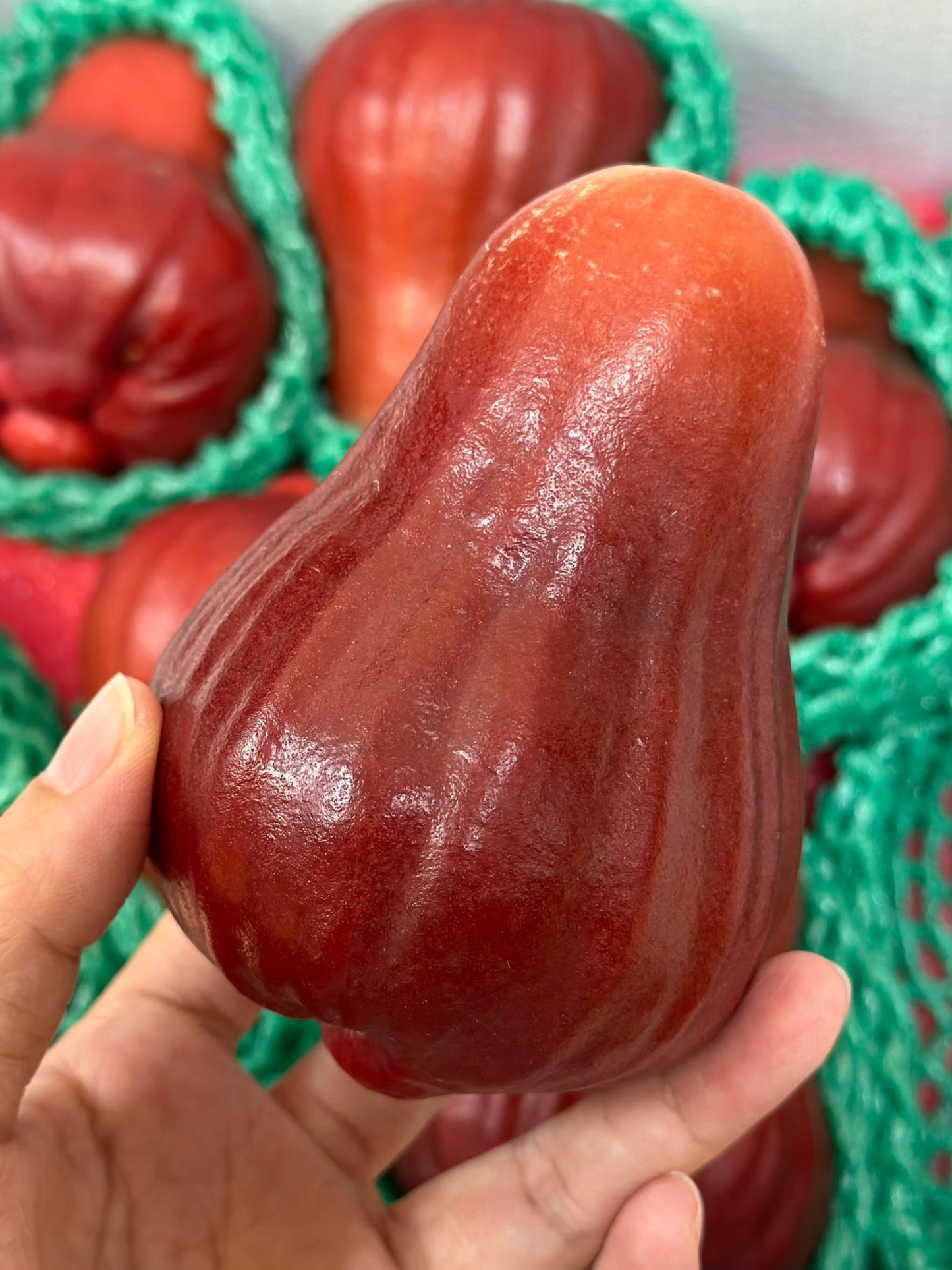 【年節水果】頂級黑糖芭比蓮霧