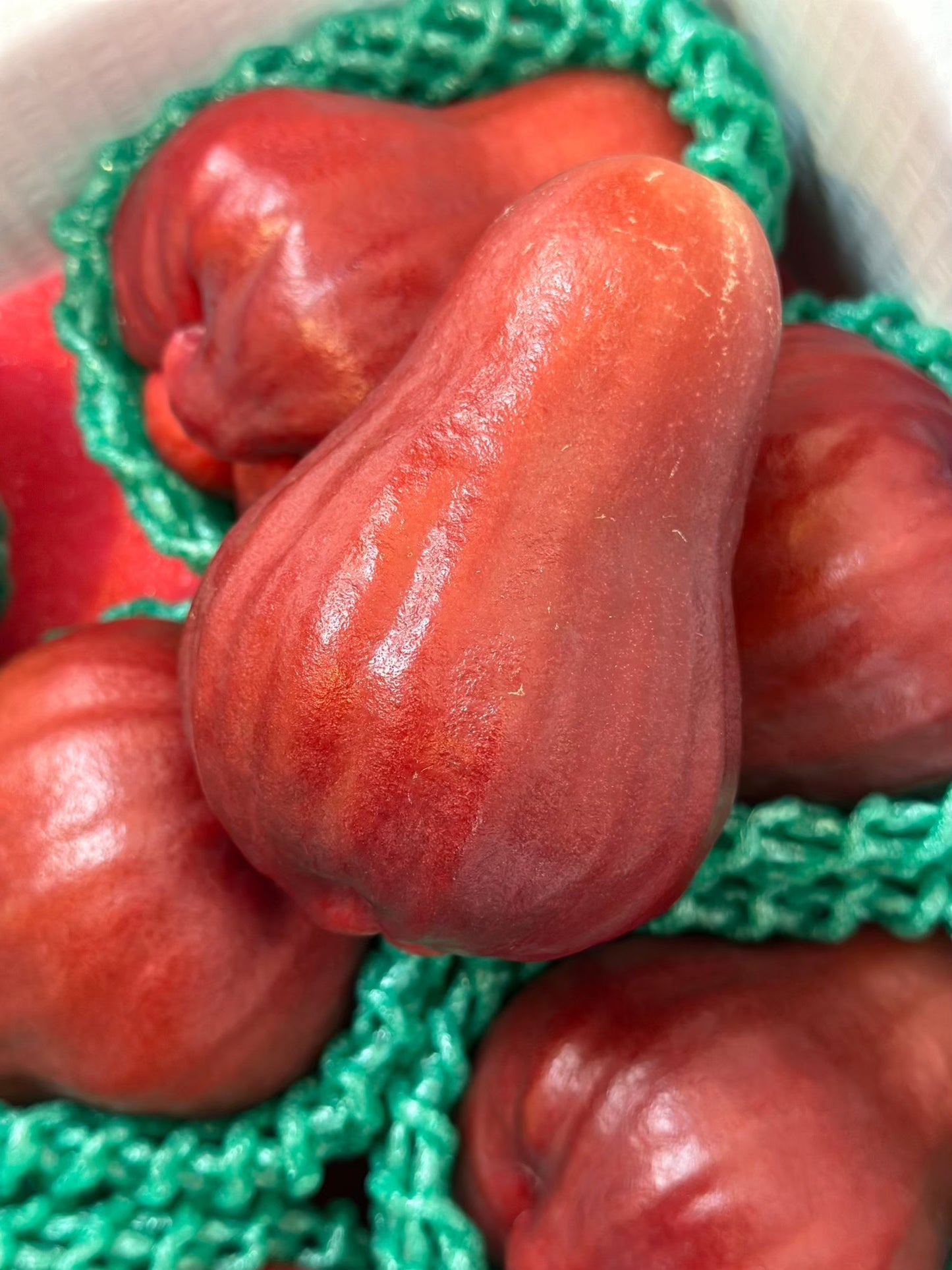 【年節水果】頂級黑糖芭比蓮霧