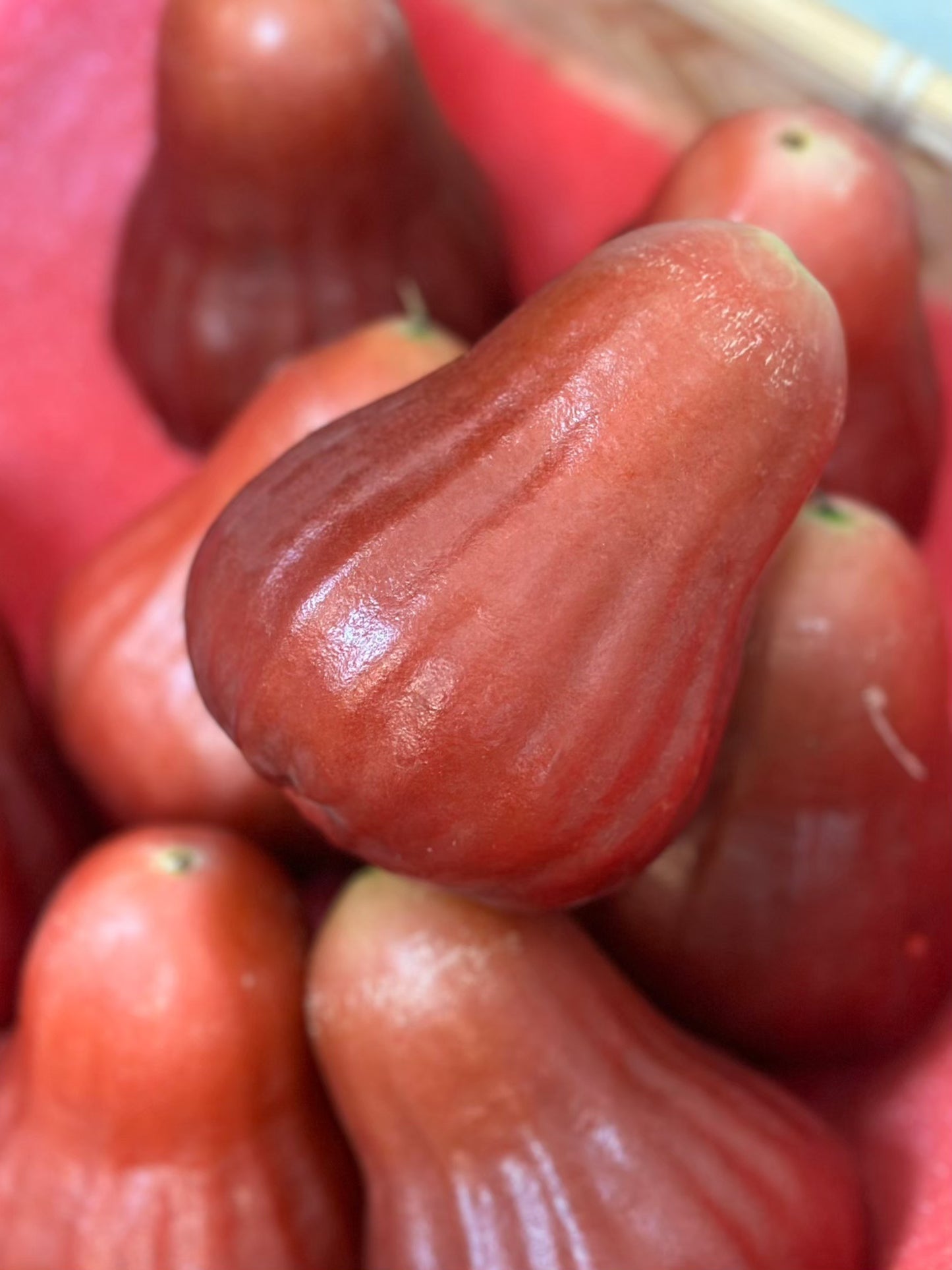 【年節水果】頂級黑糖芭比蓮霧