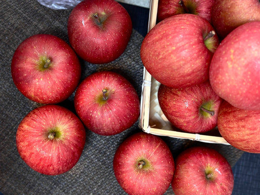 【年節水果】日本蜜富士蘋果