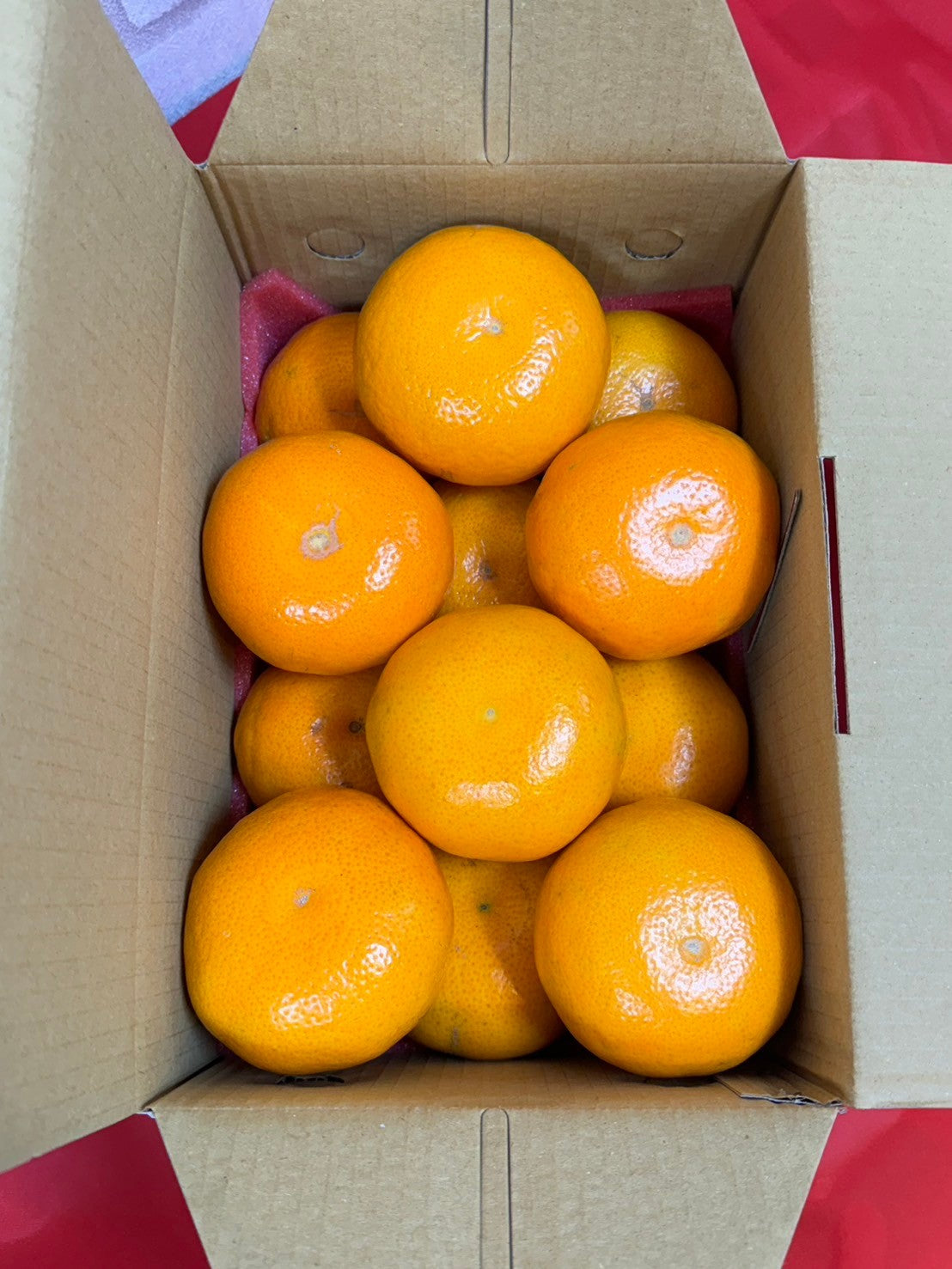 【年節水果】台灣茂谷柑禮盒／3公斤