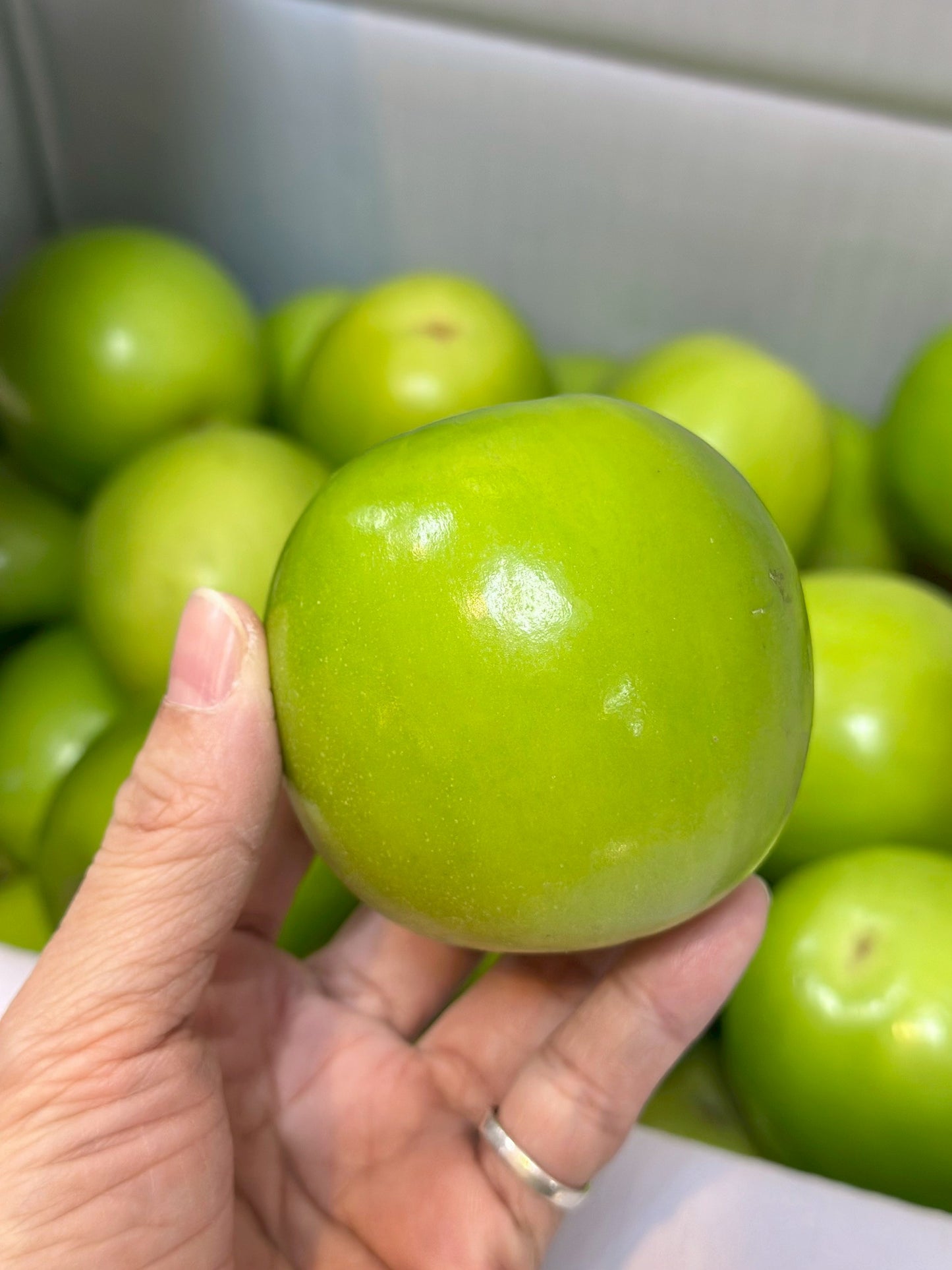 【年節水果】台灣精品大顆蜜棗2公斤  (含盒)