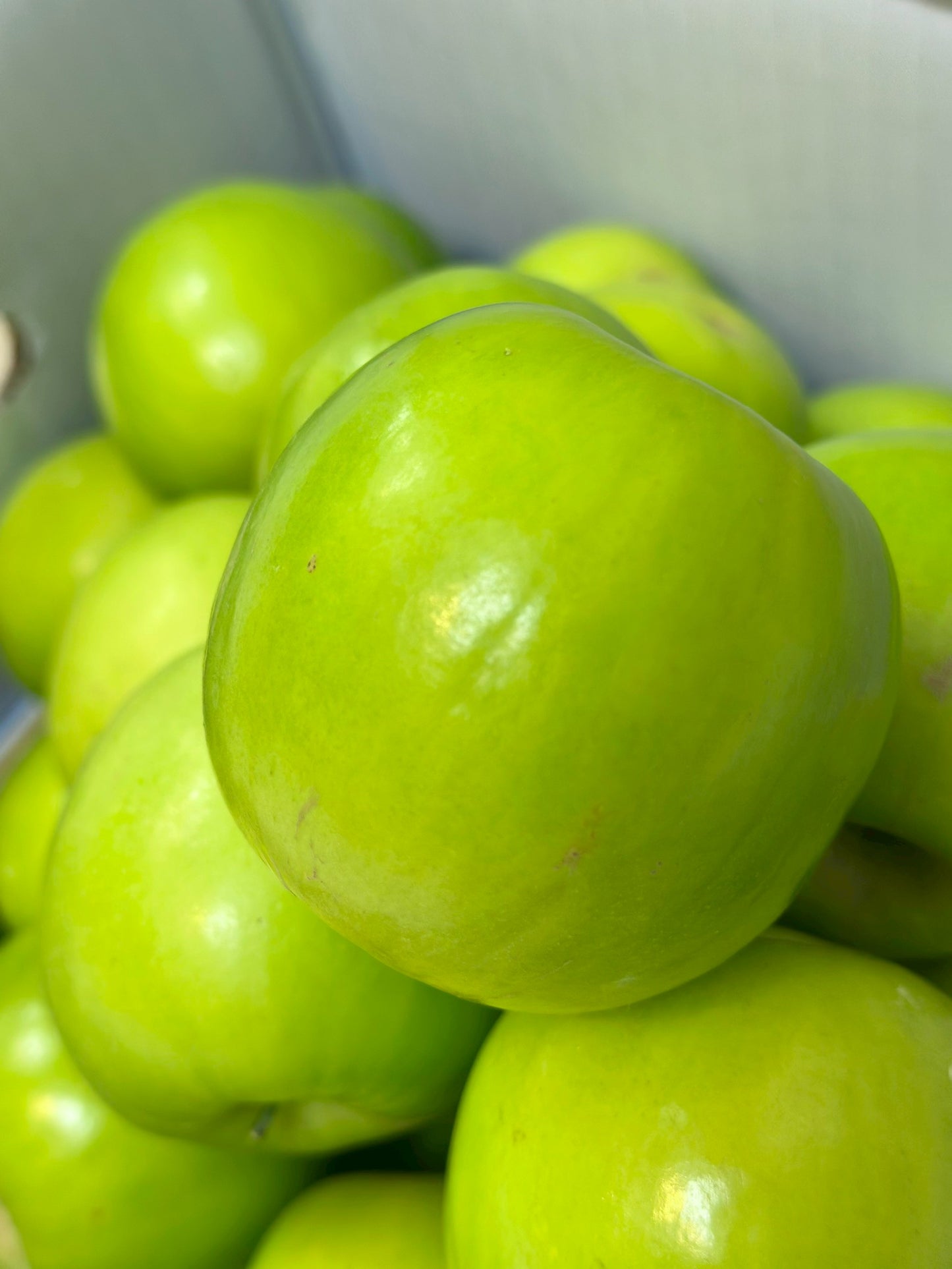 【年節水果】台灣精品大顆蜜棗2公斤  (含盒)