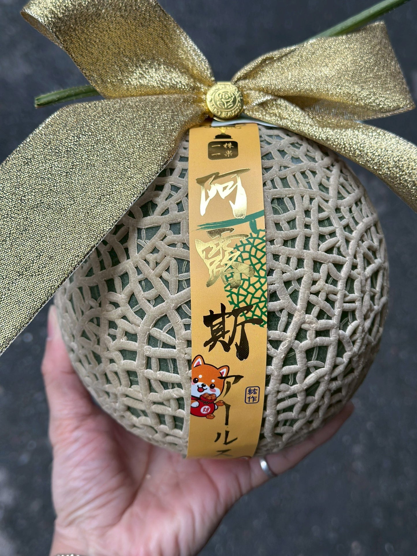 【年節水果】阿露斯哈密瓜禮盒