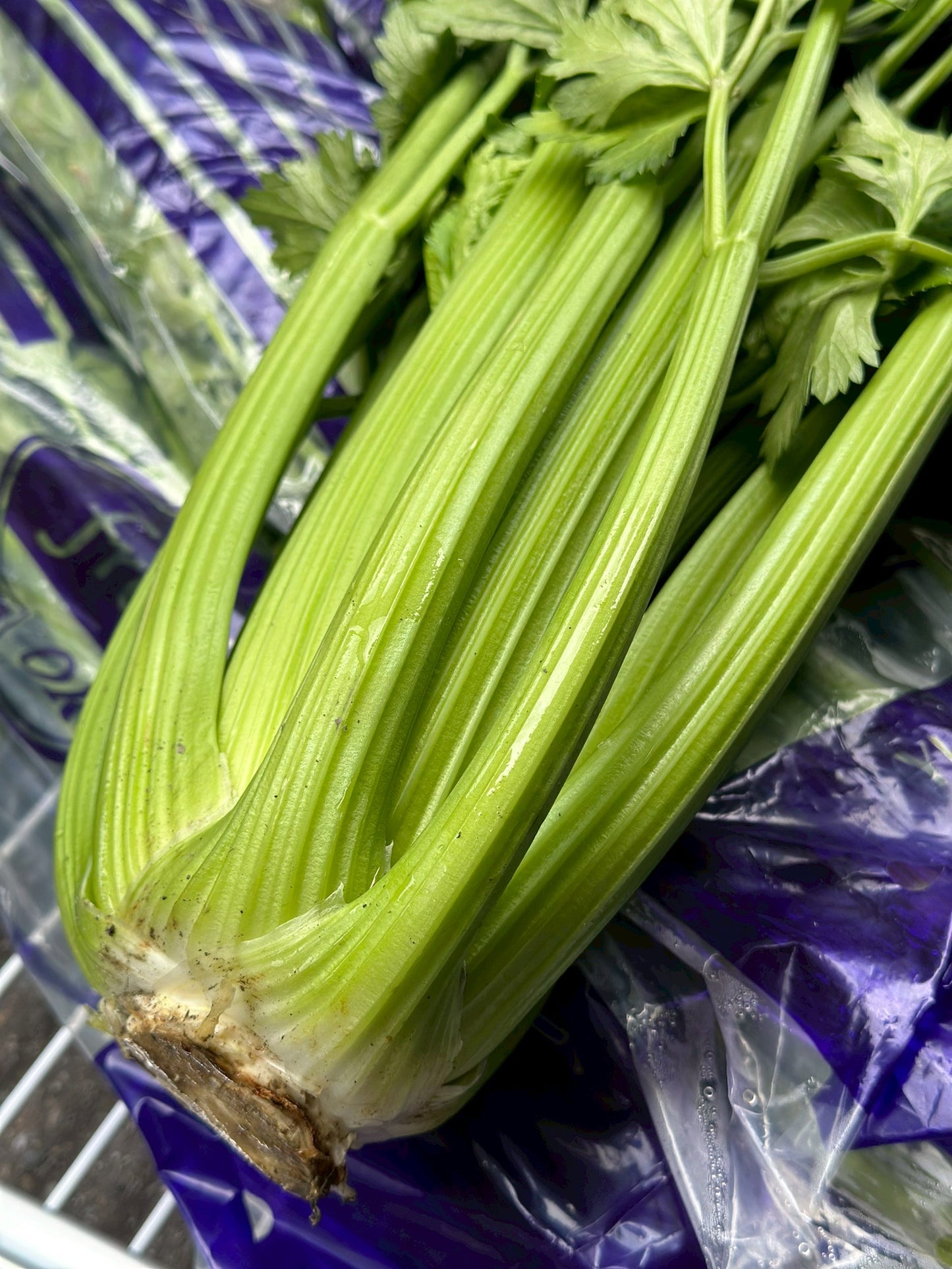 【好評三度回歸】黑白雙寶水果玉米與台灣有機西洋芹