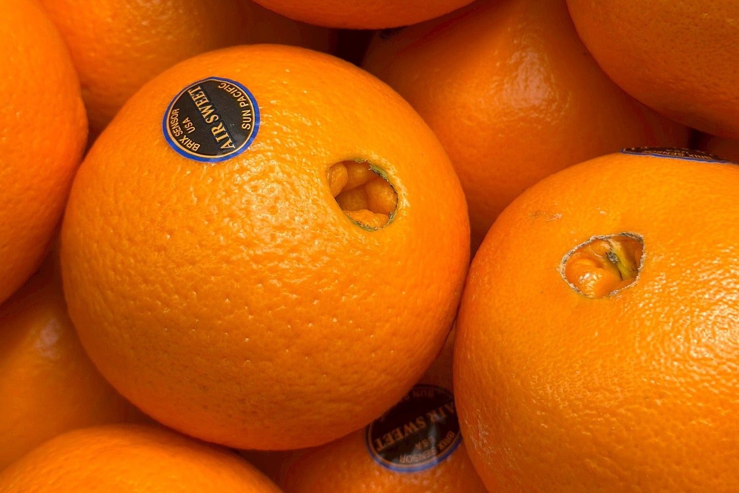 【美國】精品肚臍丁