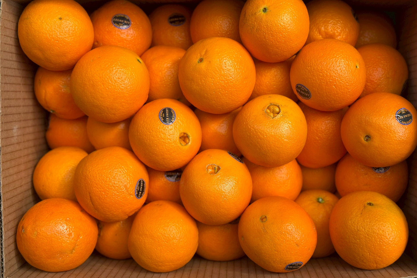 【美國】精品肚臍丁