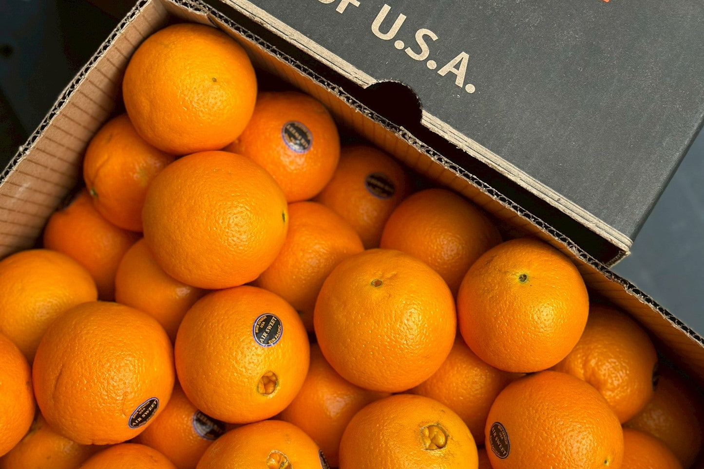 【美國】精品肚臍丁