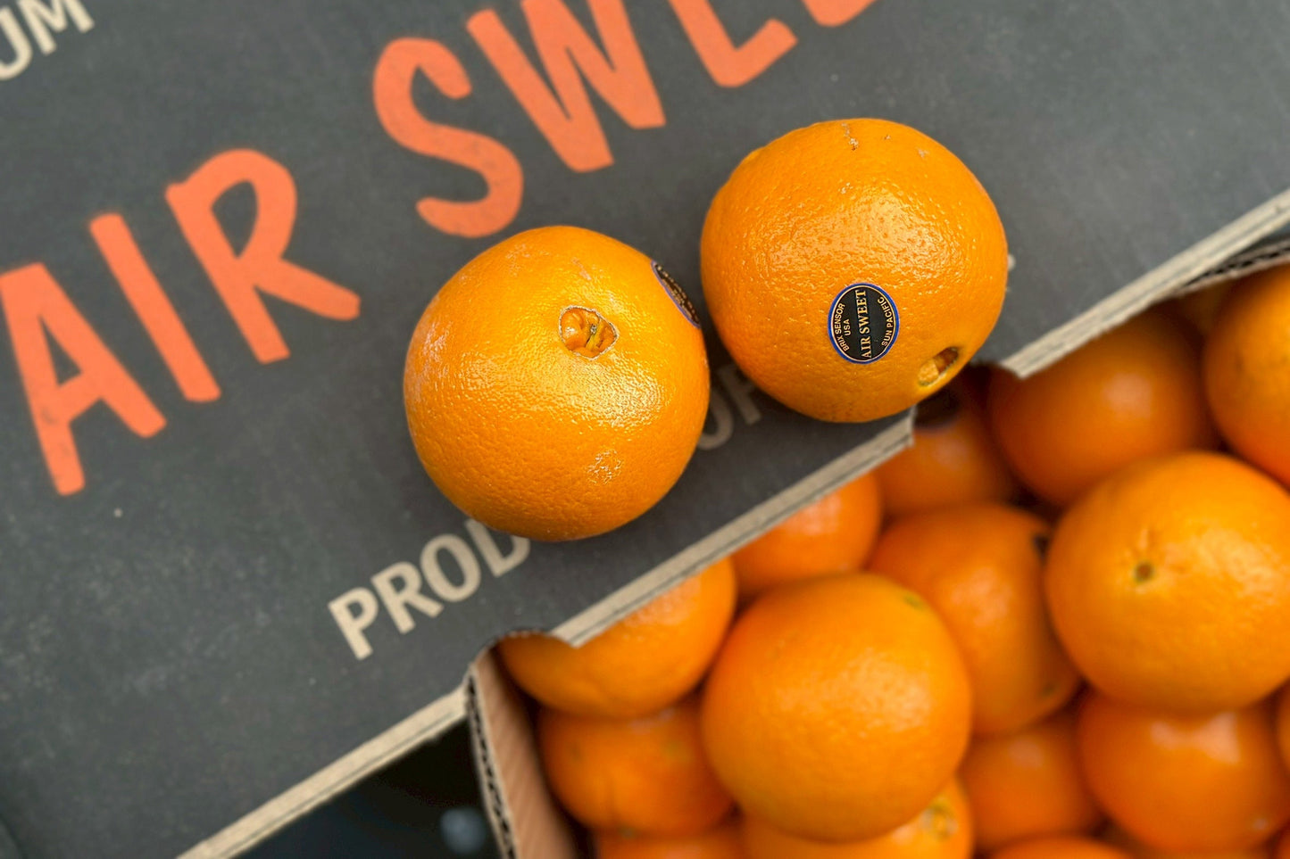 【美國】精品肚臍丁