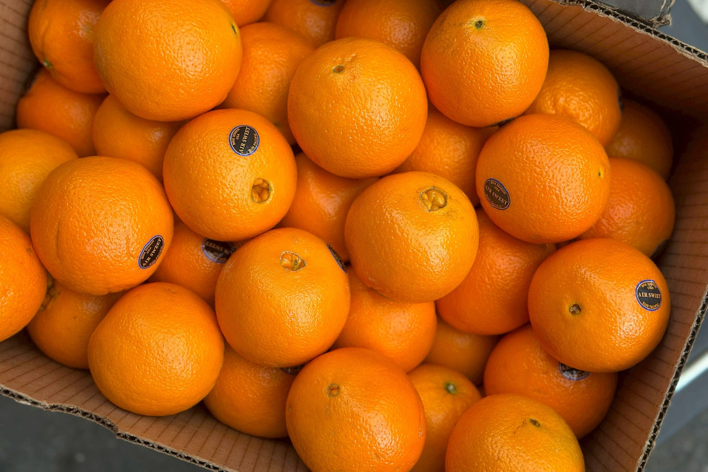 【美國】精品肚臍丁