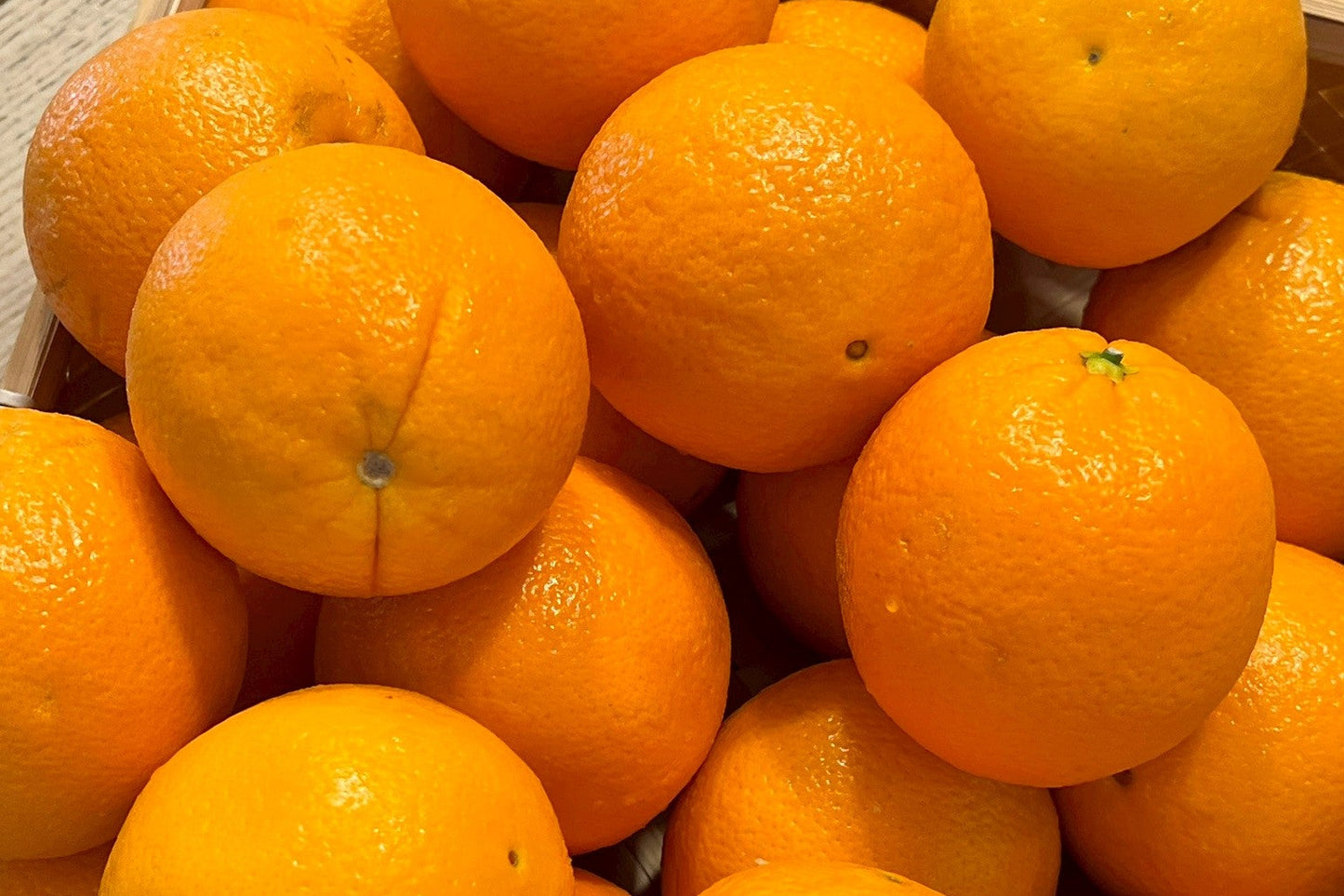 【美國】精品肚臍丁