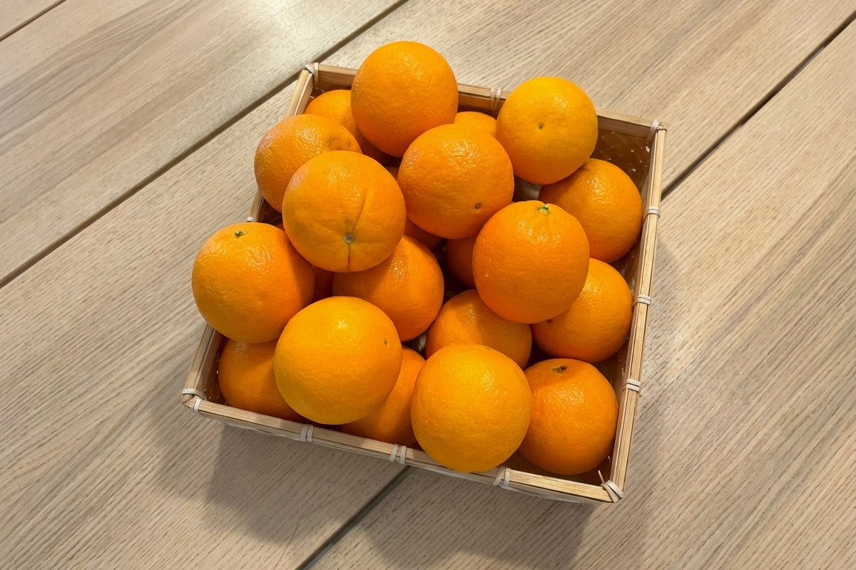 【美國】精品肚臍丁