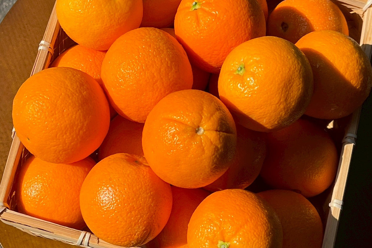 【美國】精品肚臍丁