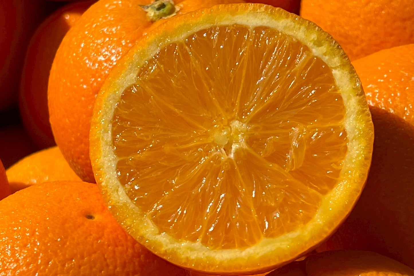 【美國】精品肚臍丁