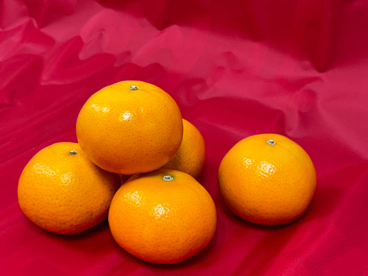 【年節水果】台灣茂谷柑禮盒／3公斤