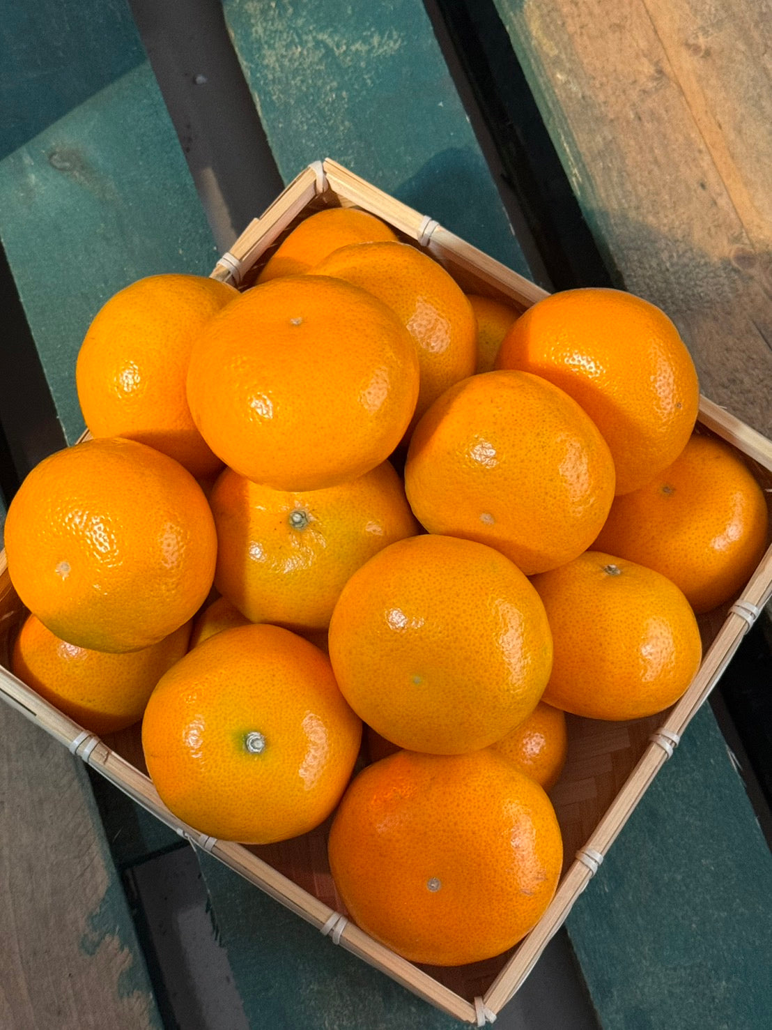 【年節水果】台灣茂谷柑禮盒／3公斤