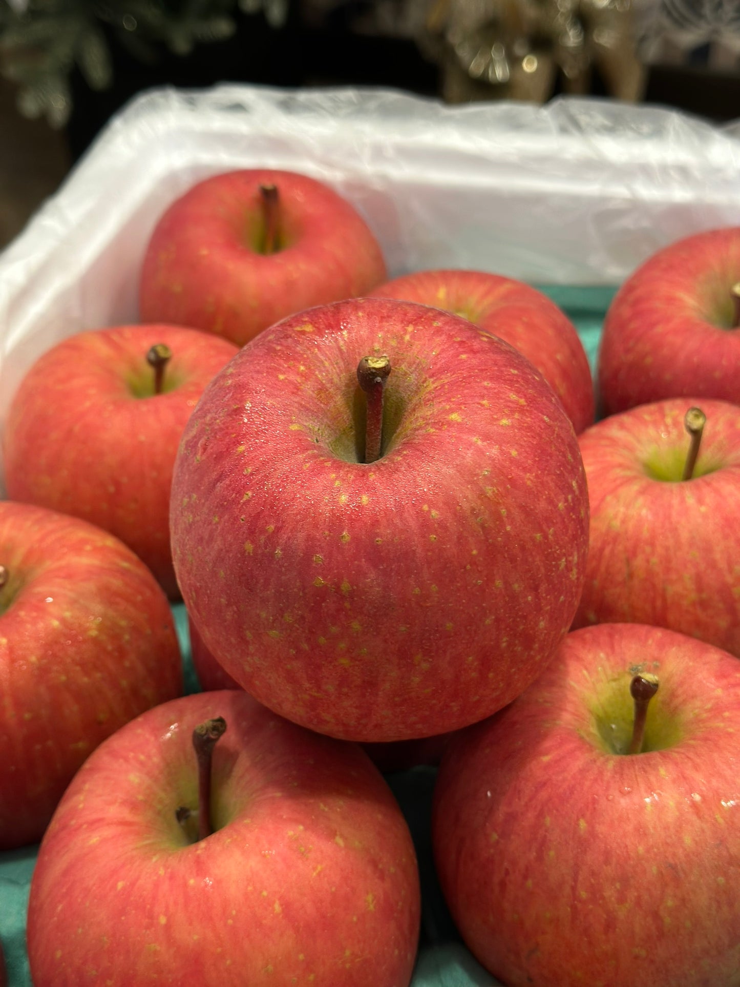 【年節水果】日本蜜富士蘋果