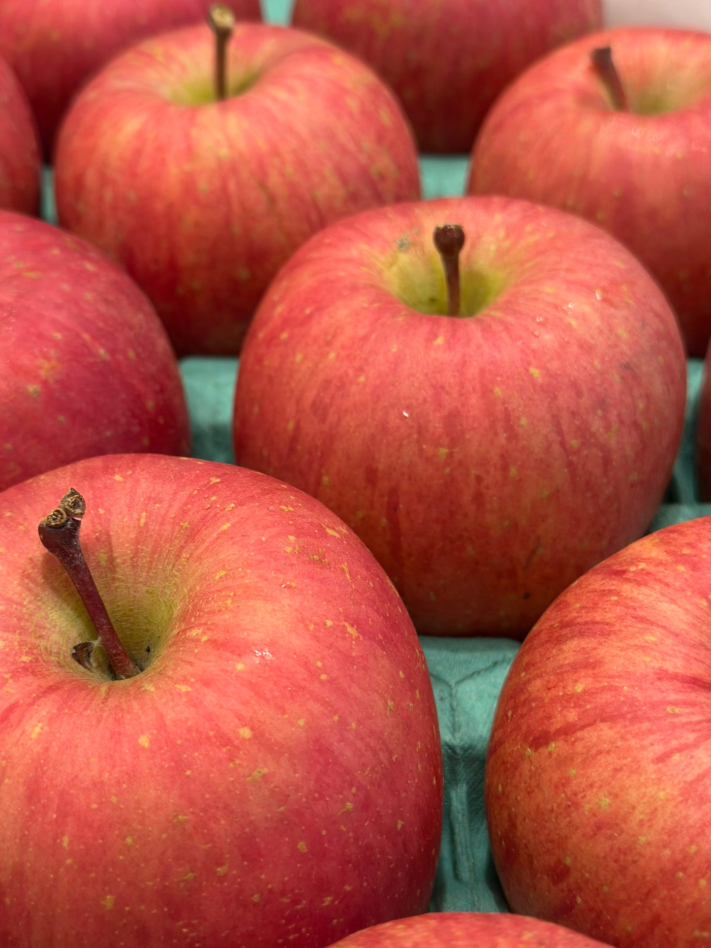 【年節水果】日本蜜富士蘋果