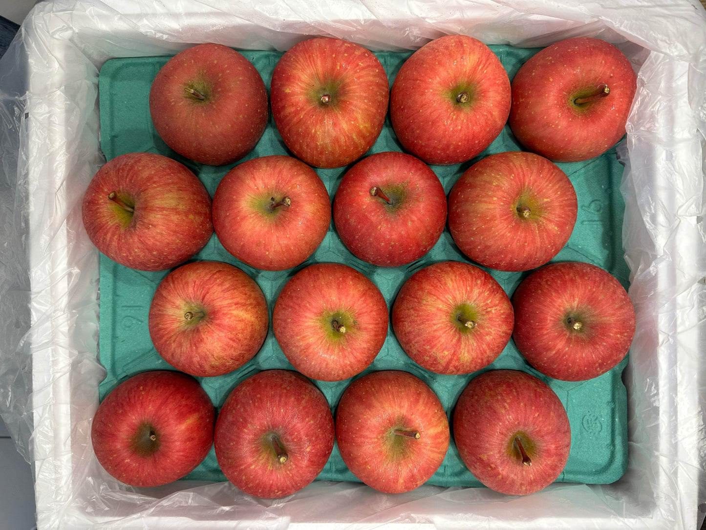 【年節水果】日本蜜富士蘋果